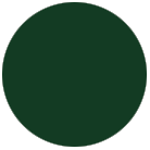 Ciemnozielony RAL 6009